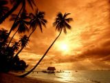 Bali-Sunset.jpg